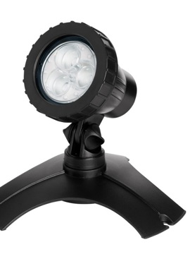 Pond Max Light